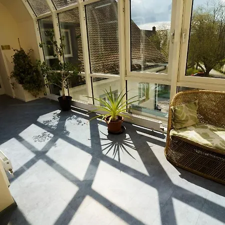 Sonne * Gottmadingen